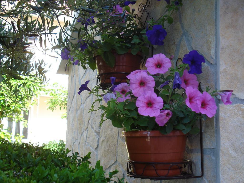 Apartments Villa Lilla Baška Voda Екстериор снимка